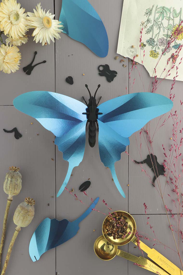 Paper Swordtail Butterfly