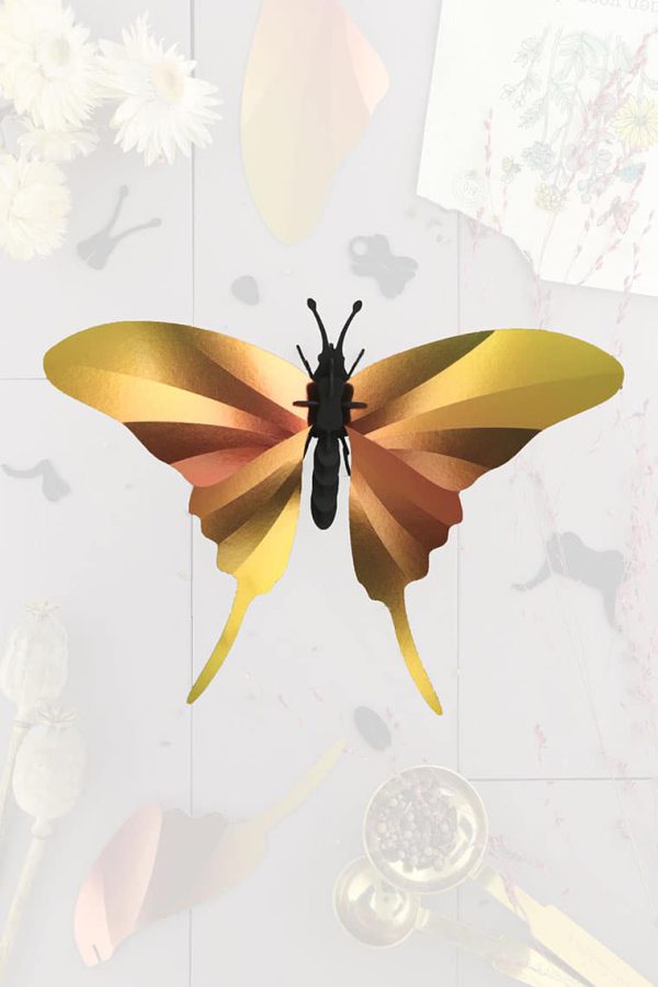 3D Papieren Swordtail Vlinder| DIY Interieurdecoratie | Assembli