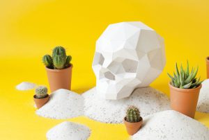 Crâne de Sapiens XL en papier 3D | DIY Décoration d'intérieur | Assembli