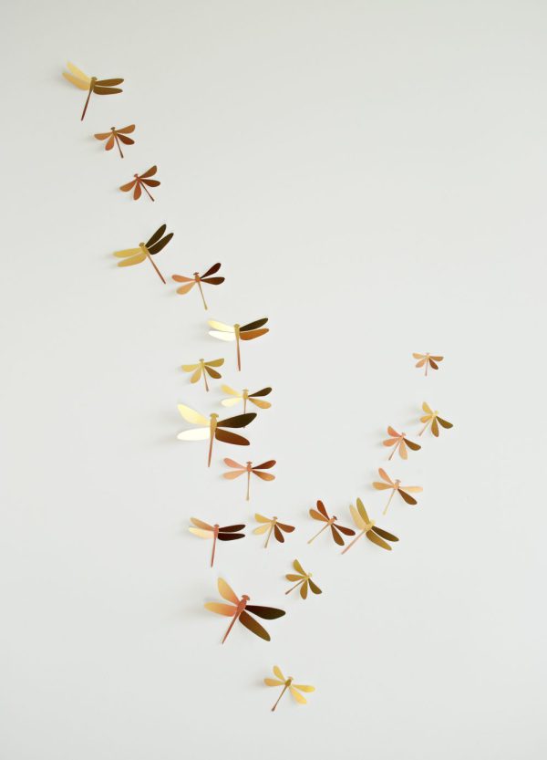 3D Papieren Libelle Collectie | DIY Papieren Decoratie | Assembli