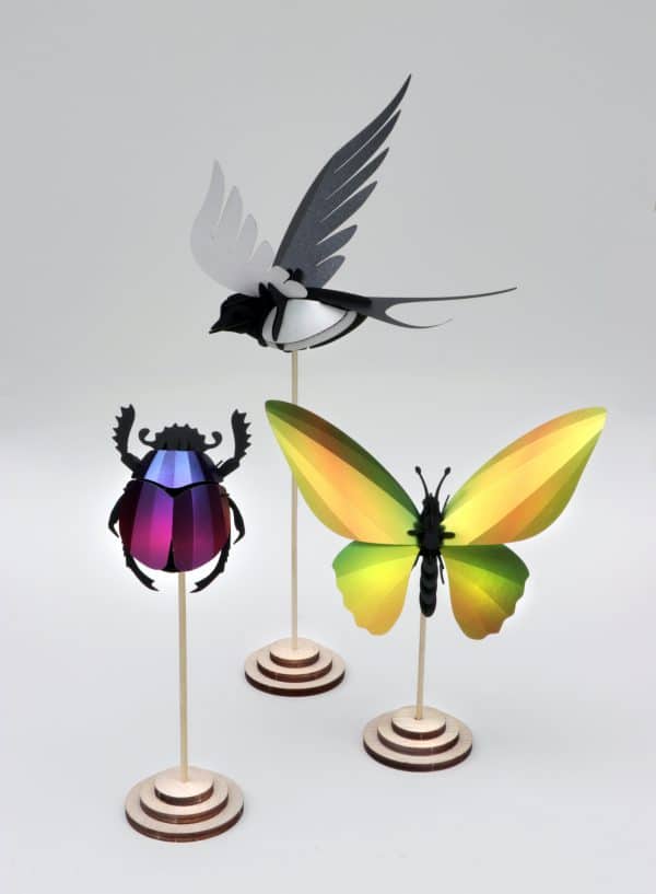 Affichage de Table en bois pour Oiseaux et Insectes d'Assembli | Assembli