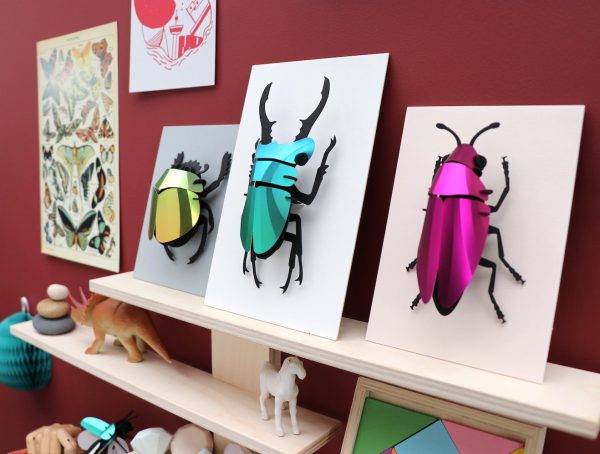 Assembli 3D Paper Insects mixed