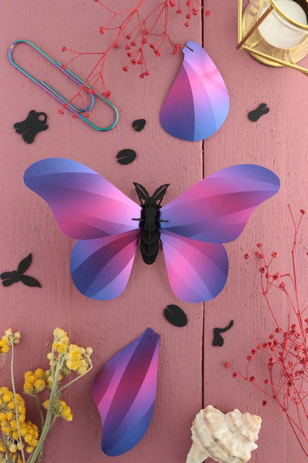 3D Papieren Grote Zijde Vlinder | Insecten | Assembli
