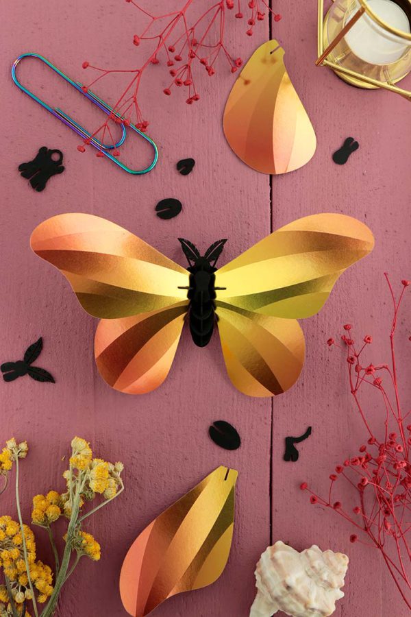 3D Papieren Grote Zijde Vlinder | DIY Interieurdecoratie | Assembli