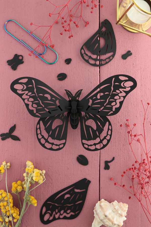 Papillon Soie Géante en papier 3D | DIY Décoration d'Intérieur | Assembli