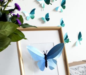 Assembli 3D Paper Butterfly Collection