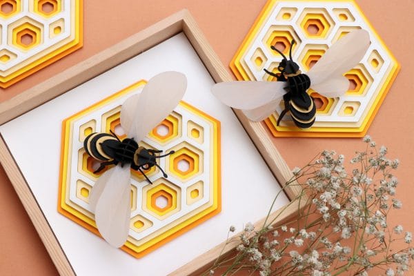 3D Paper Honeycomb | Template | Assembli