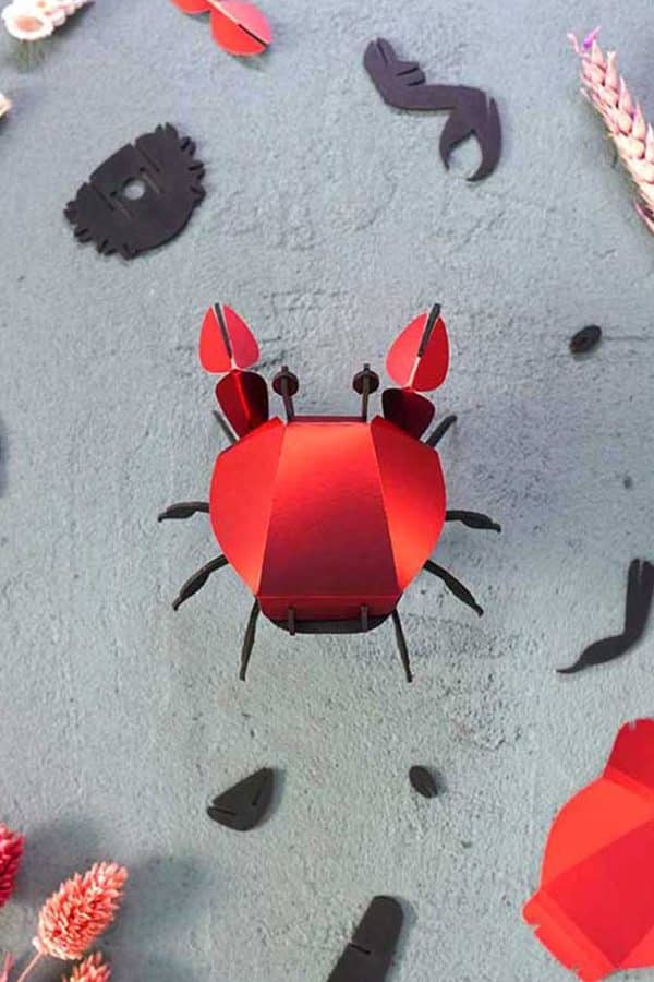 Assembli 3D Paper Beach Crab