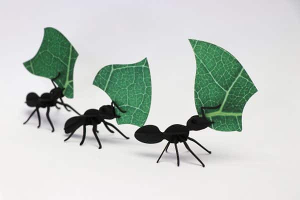 Assembli 3D Paper Leafcutter Ants