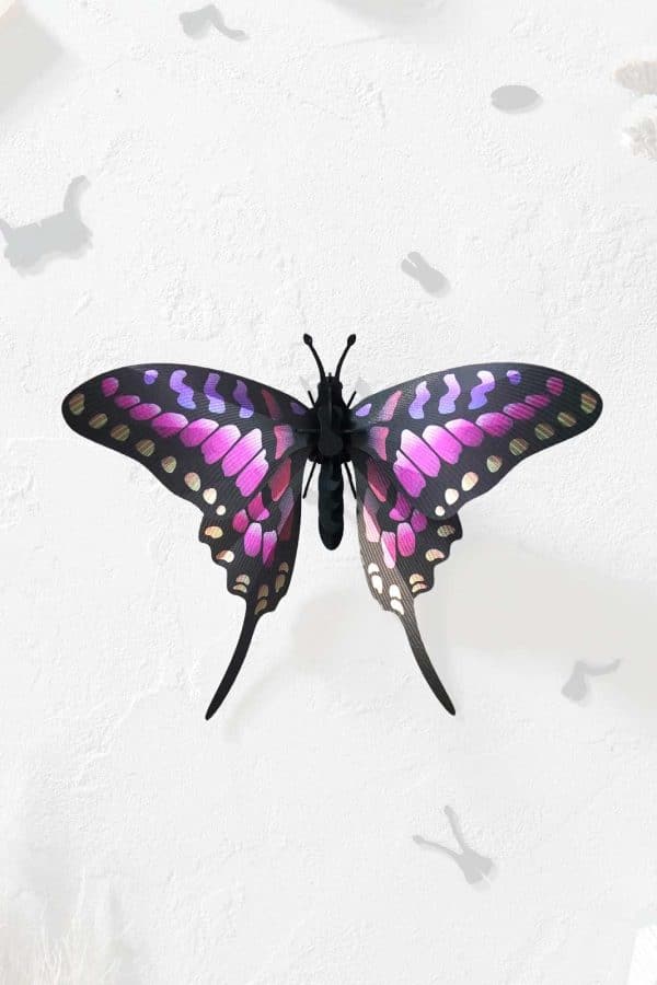 Assembli Common Swordtail Butterfly