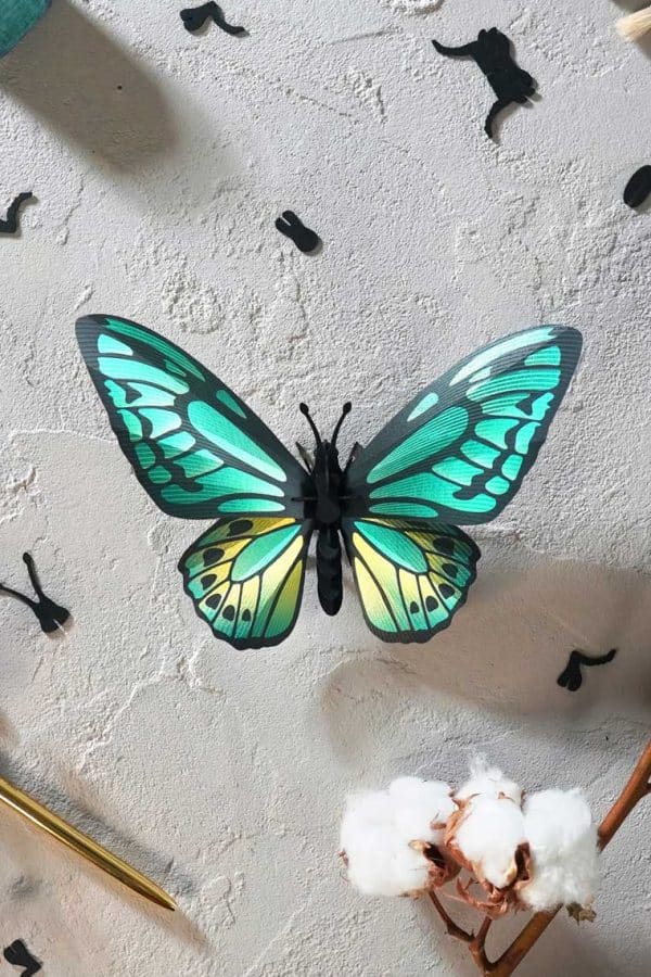 Assembli 3D Paper Green Birdwing vlinder