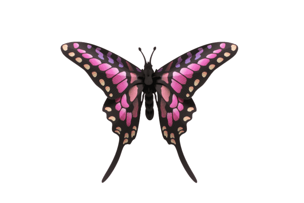 Assembli 3D Papieren Roze Swordtail Vlinder