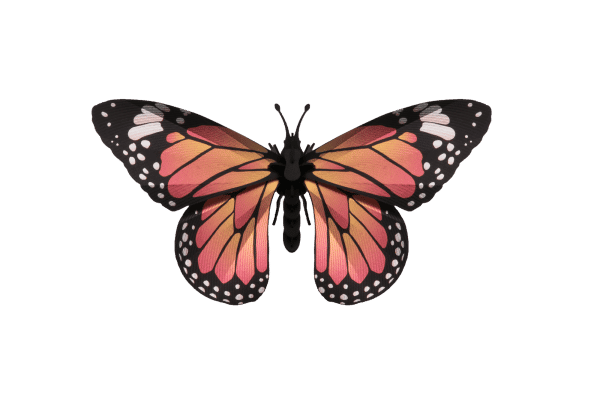 Assembli 3D Papieren Monarch Vlinder