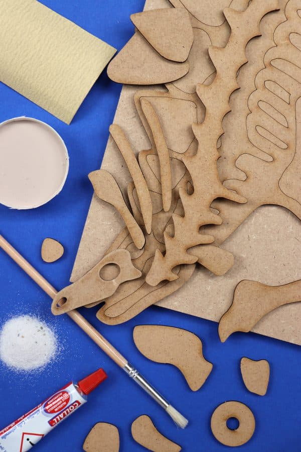 Assembli 3D DIY Fossil Kit Stegosaurus parts