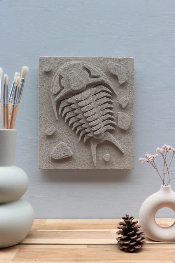 Assembli 3D DIY Fossil Kit Trilobite ash grey