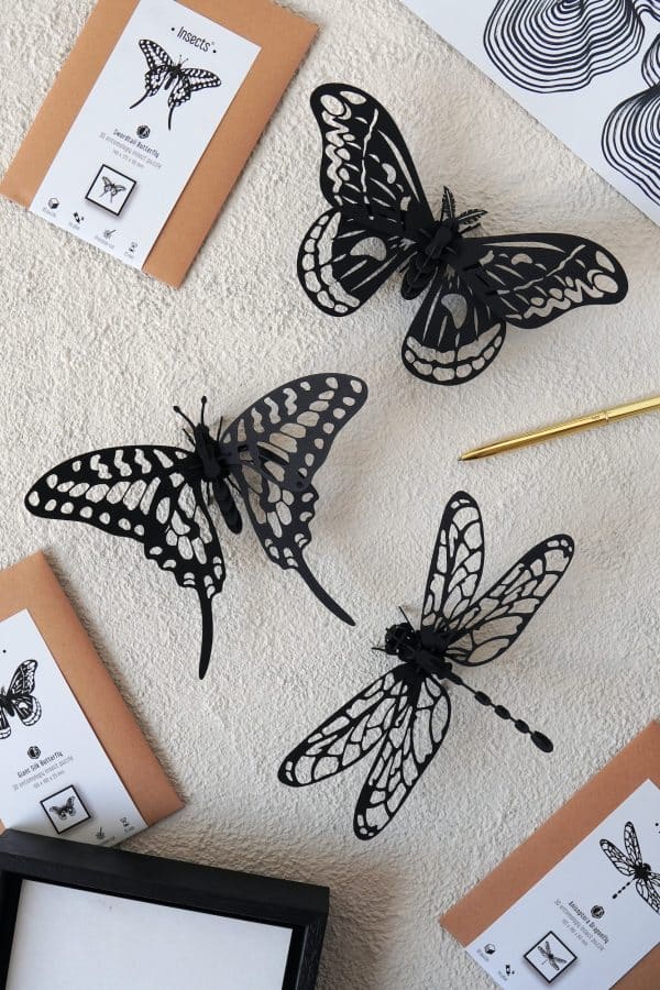Assembli Butterfly set all black Giant Silk Swordtail Dragonfly